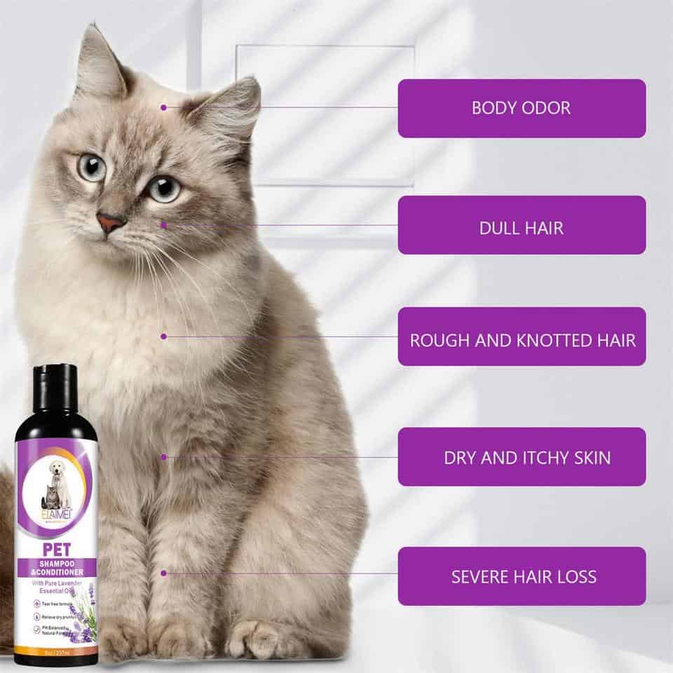 Yorkie Shampoo and conditioner