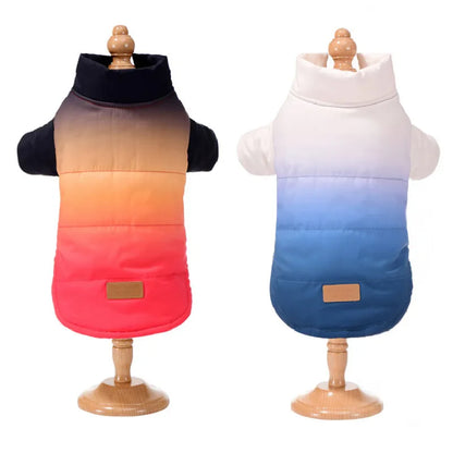 ombre shades yorkie jacket