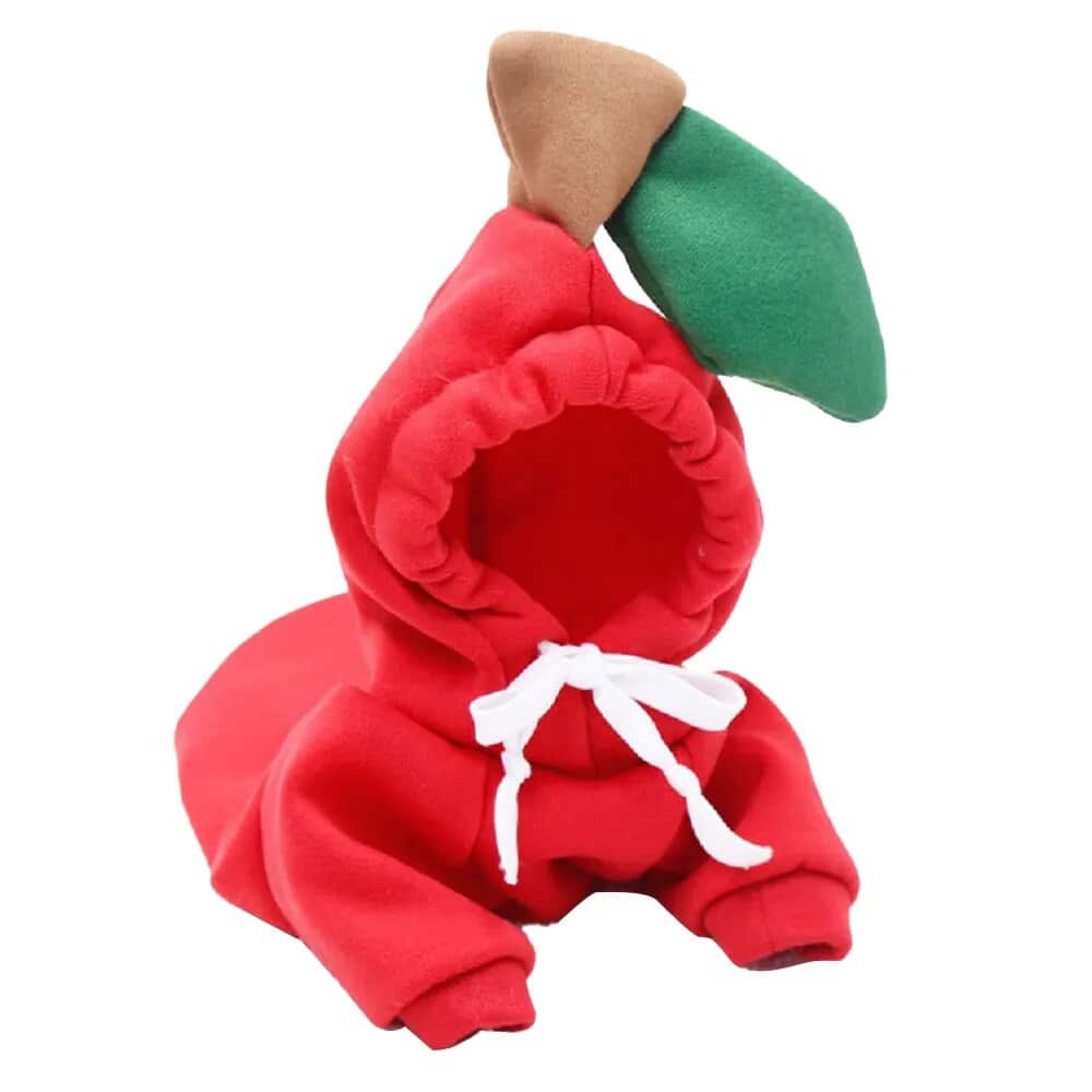 Tiny Bunch Yorkie Costume