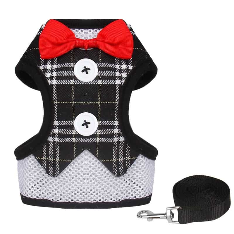 Yorkie Vest Harness and Leash Set