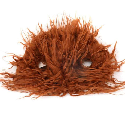 Halloween Killer Yorkie Costume