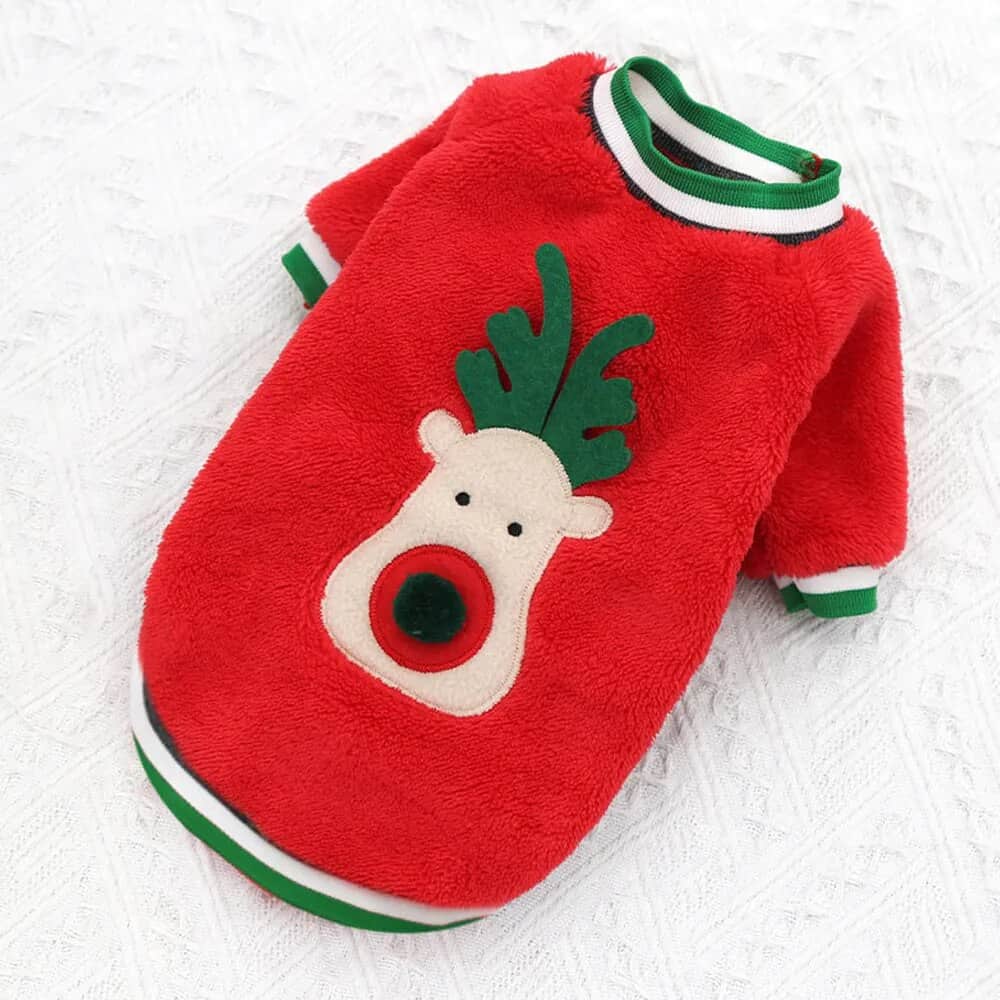 New Year and Christmas Yorkie Clothes