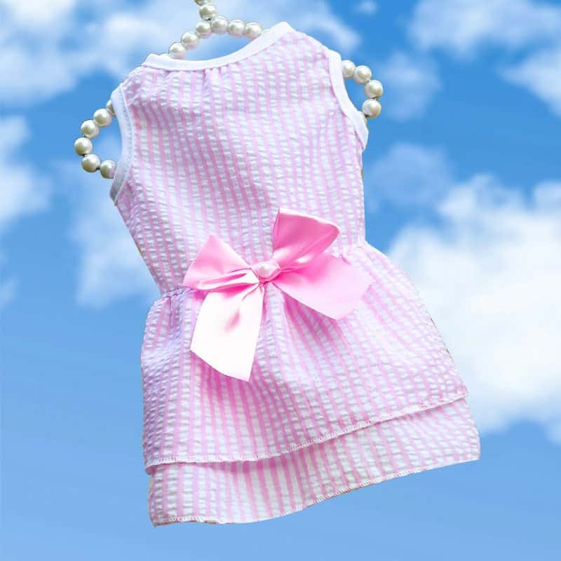 Yorkshire Terrier Princess Dresses