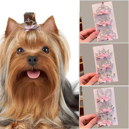 Yorkie Accessories Set