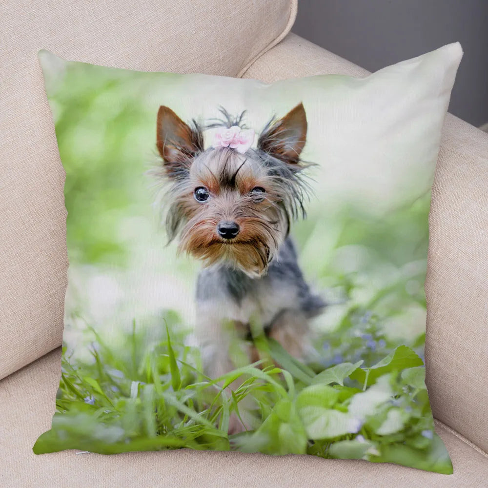 Mini Yorkie Cushion Cover