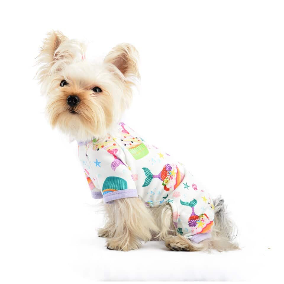 yorkie-costume-pajamas