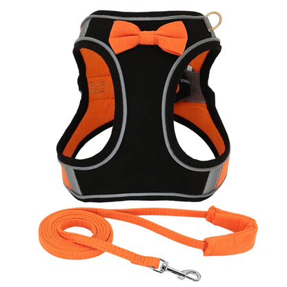 summertime yorkie harness