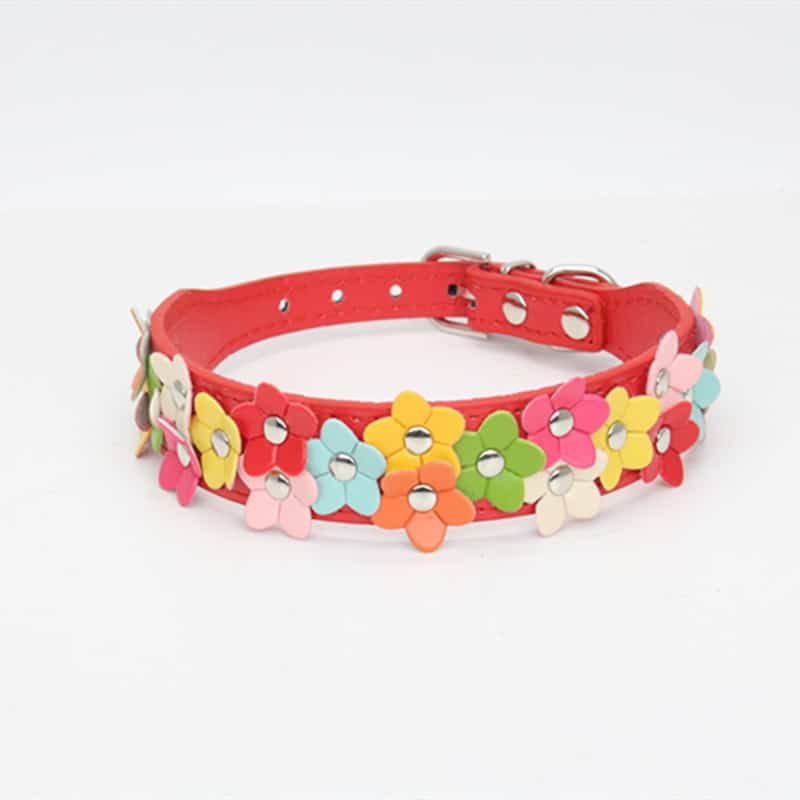 Flowers Yorkshire Terrier Collar
