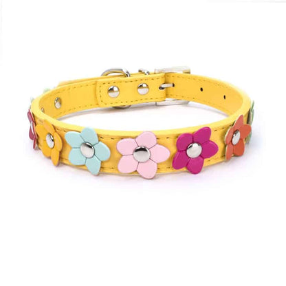 Flowers Yorkshire Terrier Collar