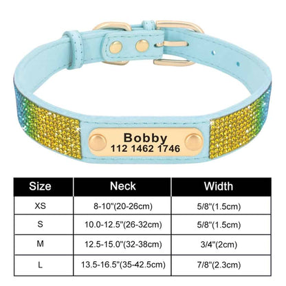 Collar personalizado para Yorkie
