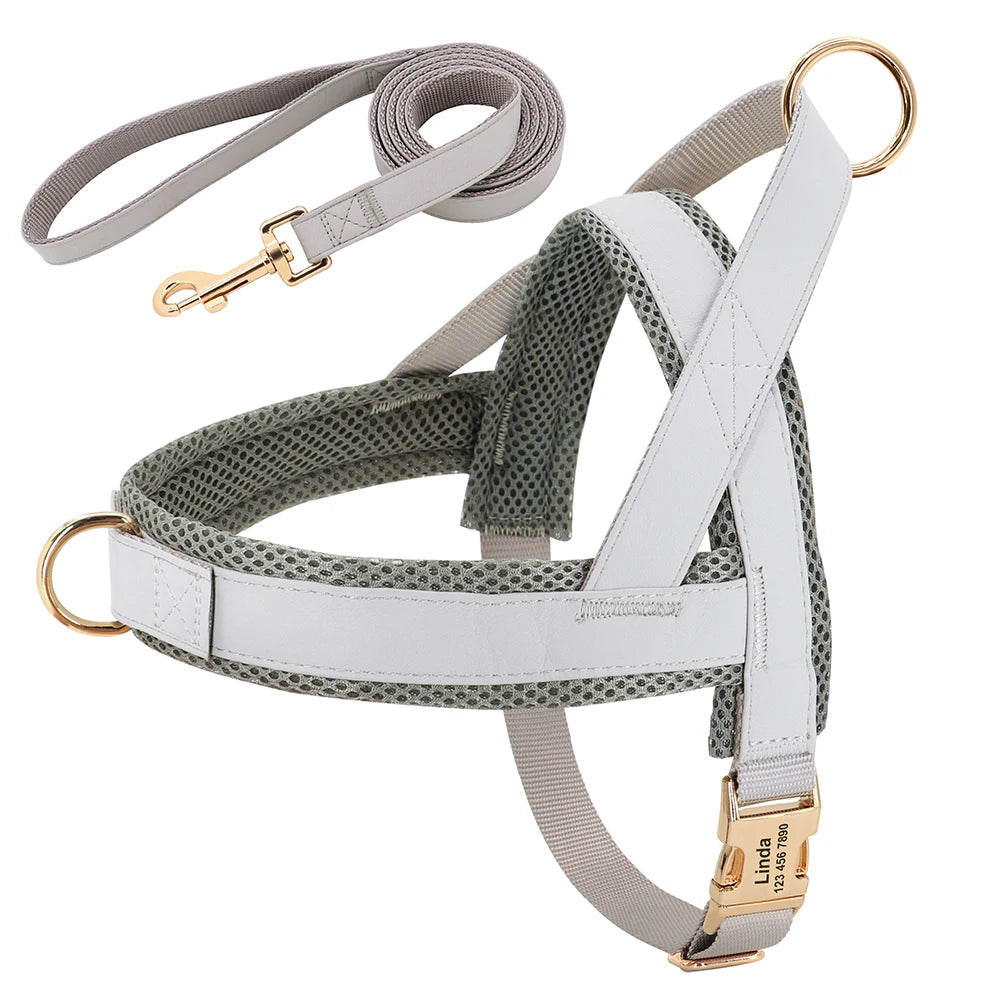 No-Pull Yorkie Harness & Collar