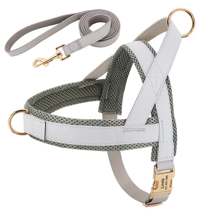 No-Pull Yorkie Harness & Collar