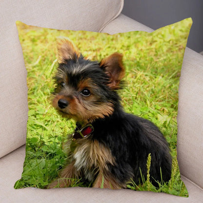 Mini Yorkie Cushion Cover