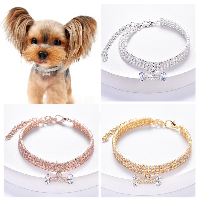 yorkie collar with diamond zircon