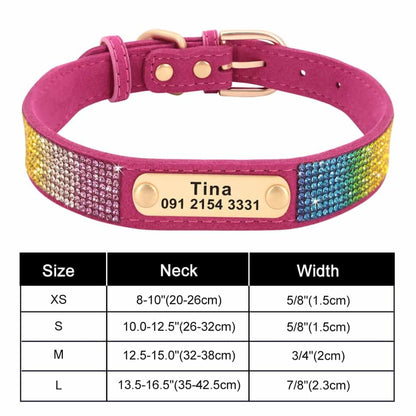 Collar personalizado para Yorkie