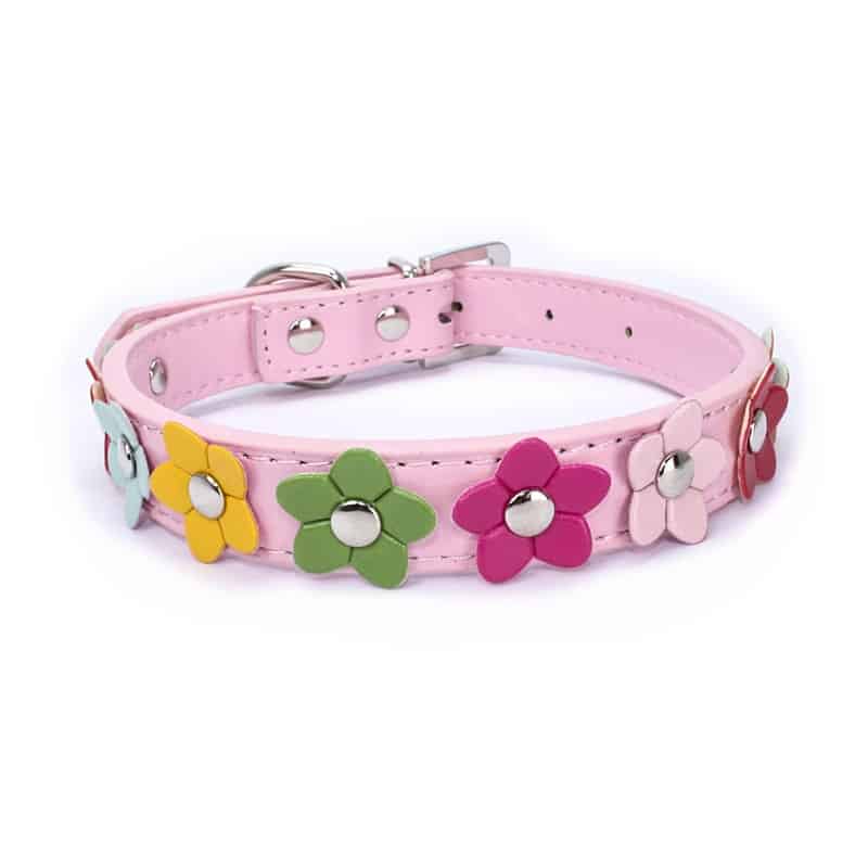 Flowers Yorkshire Terrier Collar