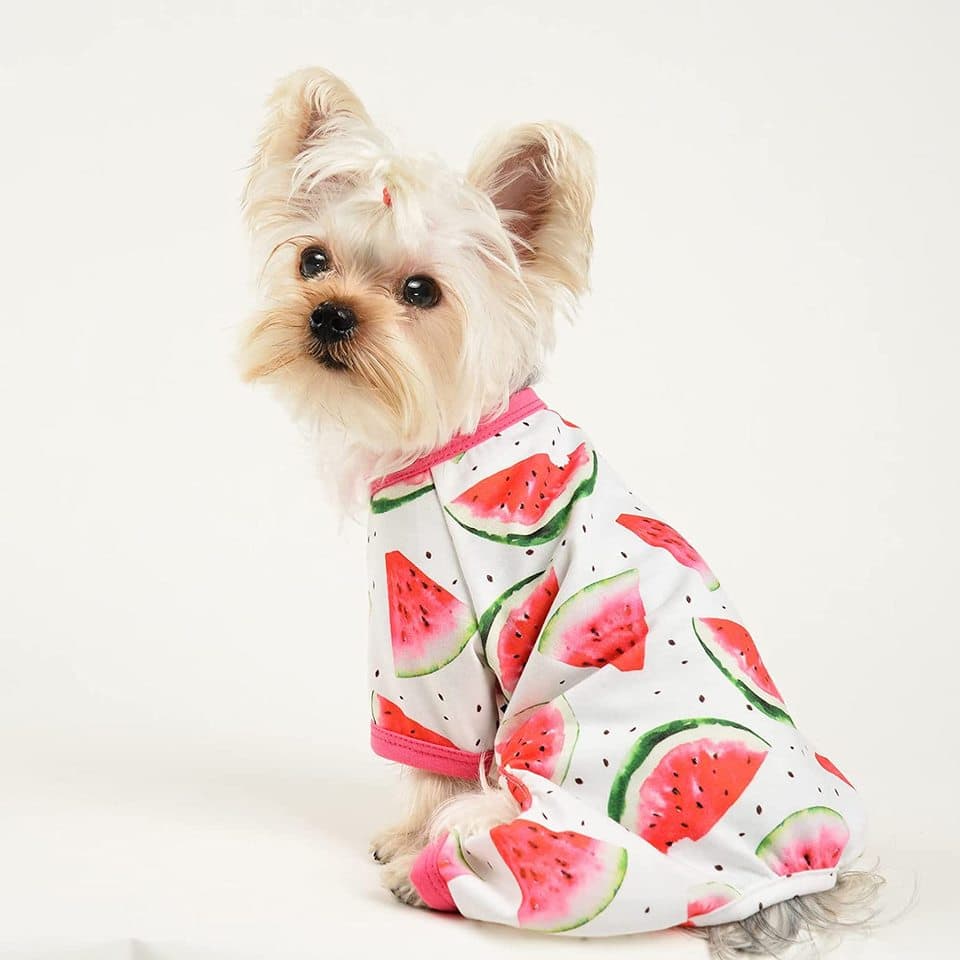 Cotton Yorkie Pajamas