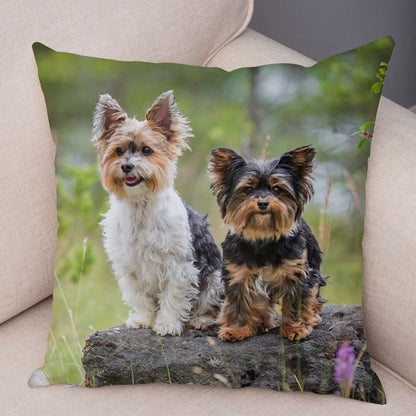 Mini Yorkie Cushion Cover