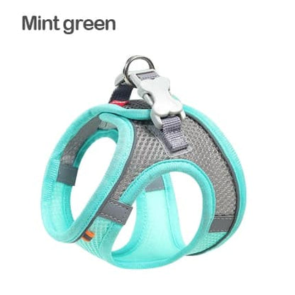 Breathable Mesh Yorkie Harness