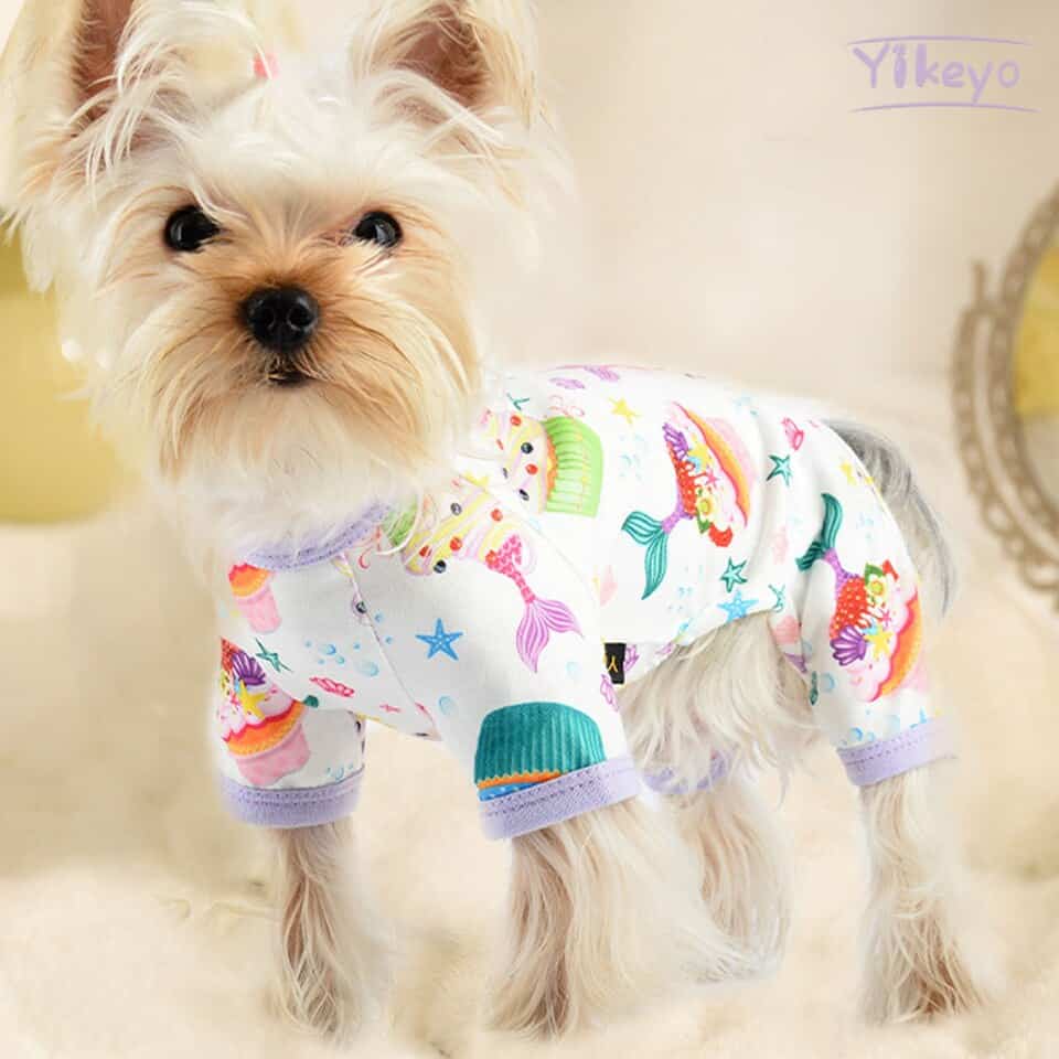 yorkie-costume-pajamas