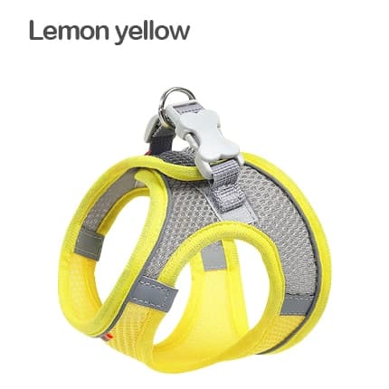 Breathable Mesh Yorkie Harness