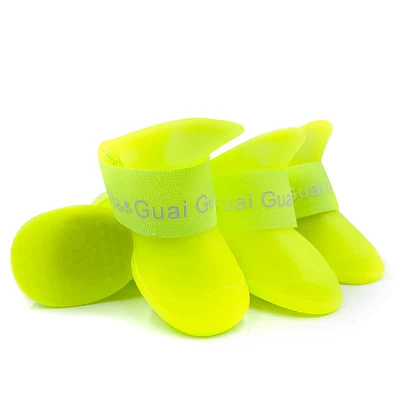 Rubber Yorkshire Terrier Shoes