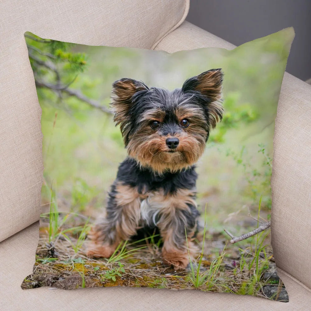 Mini Yorkie Cushion Cover - image 34