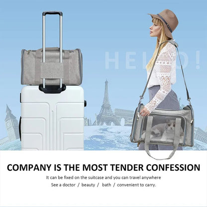 Mesh Yorkie Carrier Bag
