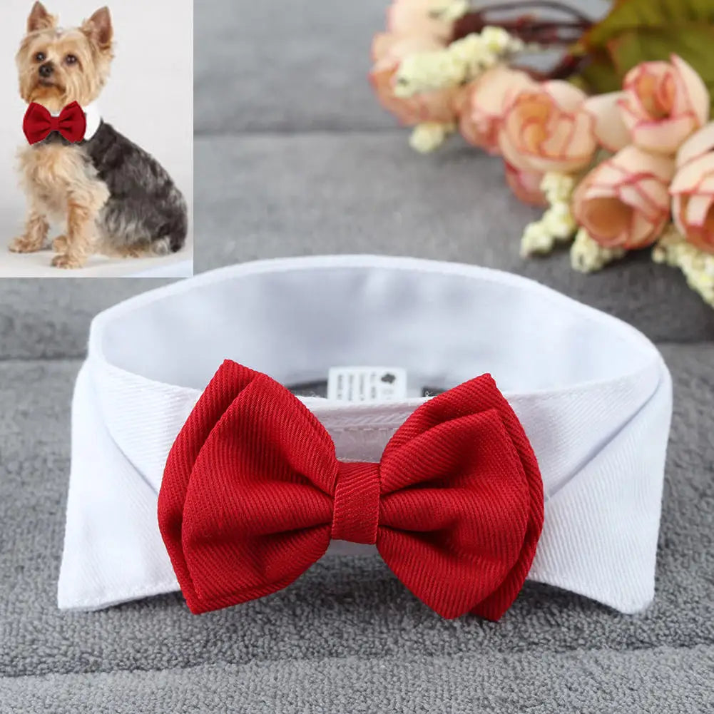 Elegant Yorkie Necktie