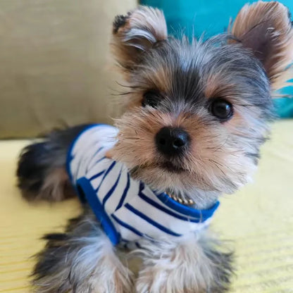 Yorkie Summer Casual T-shirt
