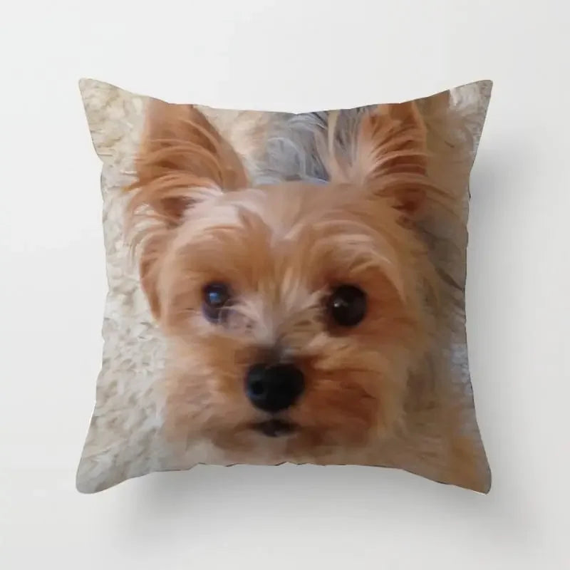 Yorkie Decor Pillow Case