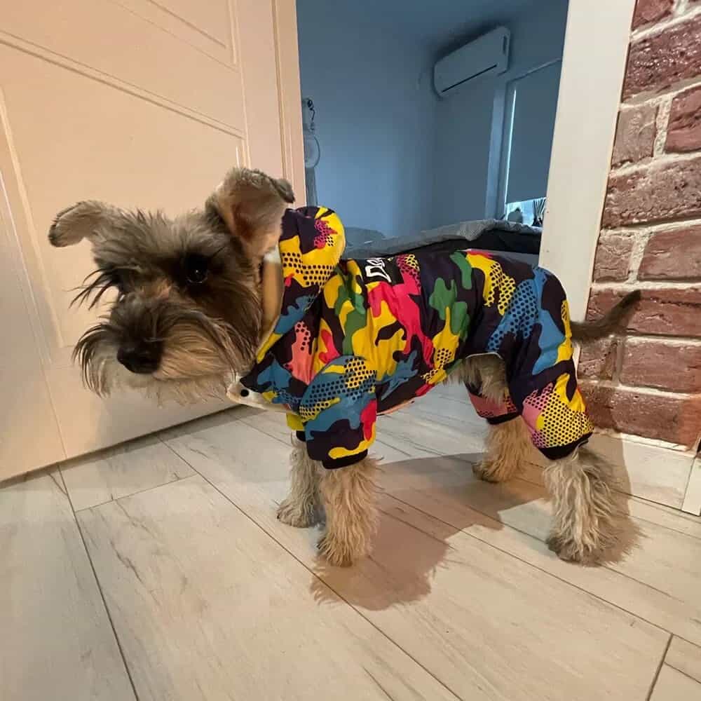 Camouflage Yorkie Jumpsuit