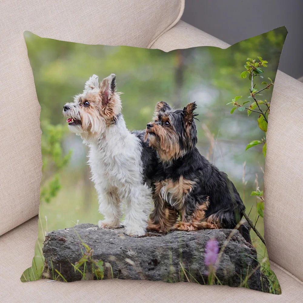Mini Yorkie Cushion Cover