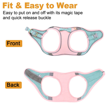 SummerTime Yorkie Harness