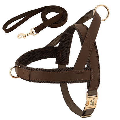No-Pull Yorkie Harness & Collar