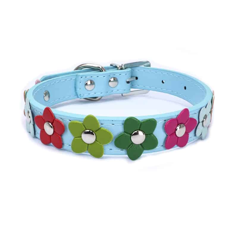 Flowers Yorkshire Terrier Collar