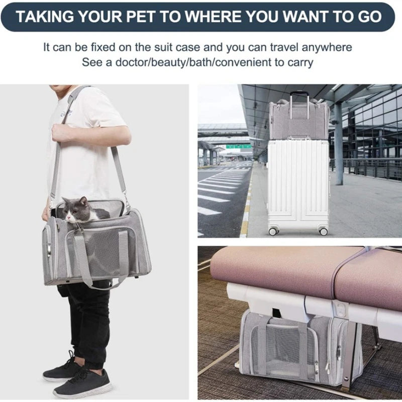 Mesh Yorkie Carrier Bag