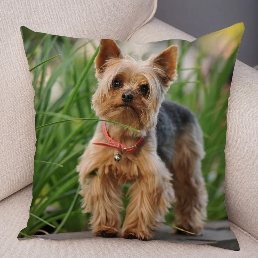 Mini Yorkie Cushion Cover