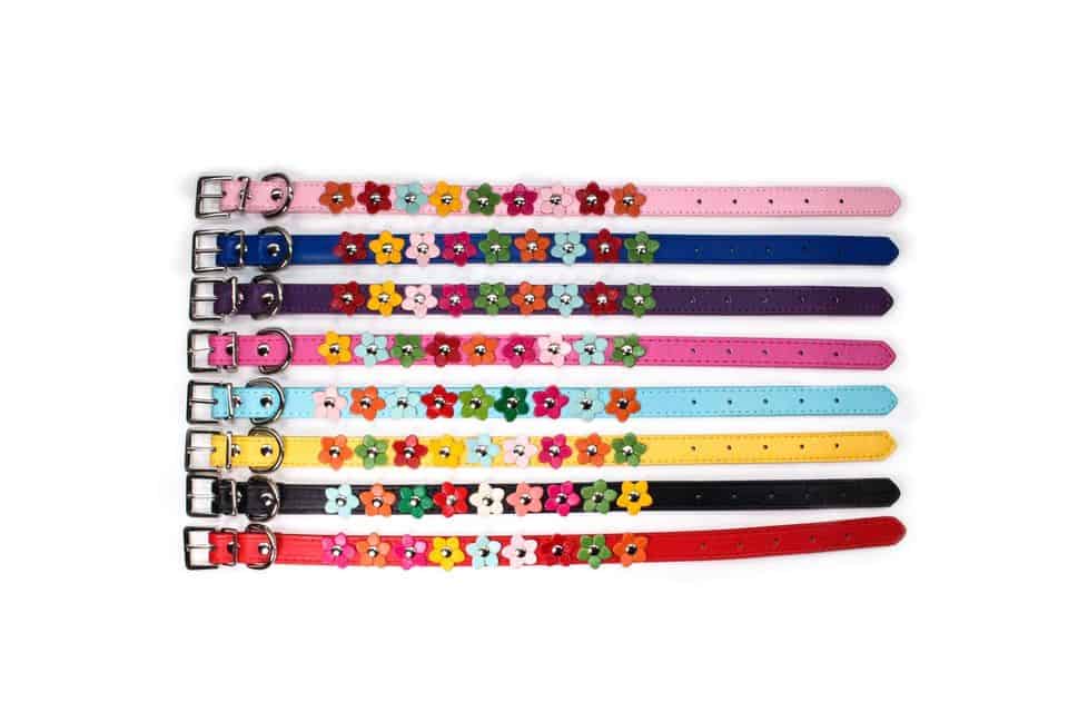 Flowers Yorkshire Terrier Collar