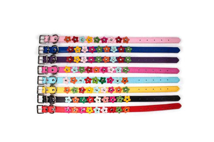 Flowers Yorkshire Terrier Collar