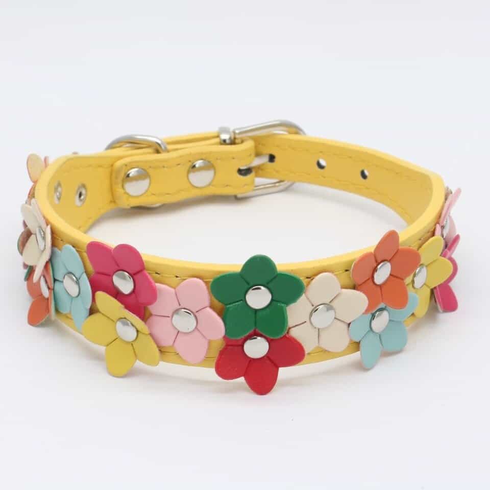 Flowers Yorkshire Terrier Collar