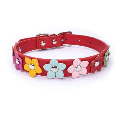 Flowers Yorkshire Terrier Collar