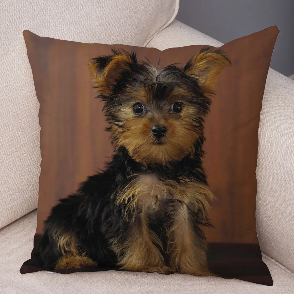 Mini Yorkie Cushion Cover
