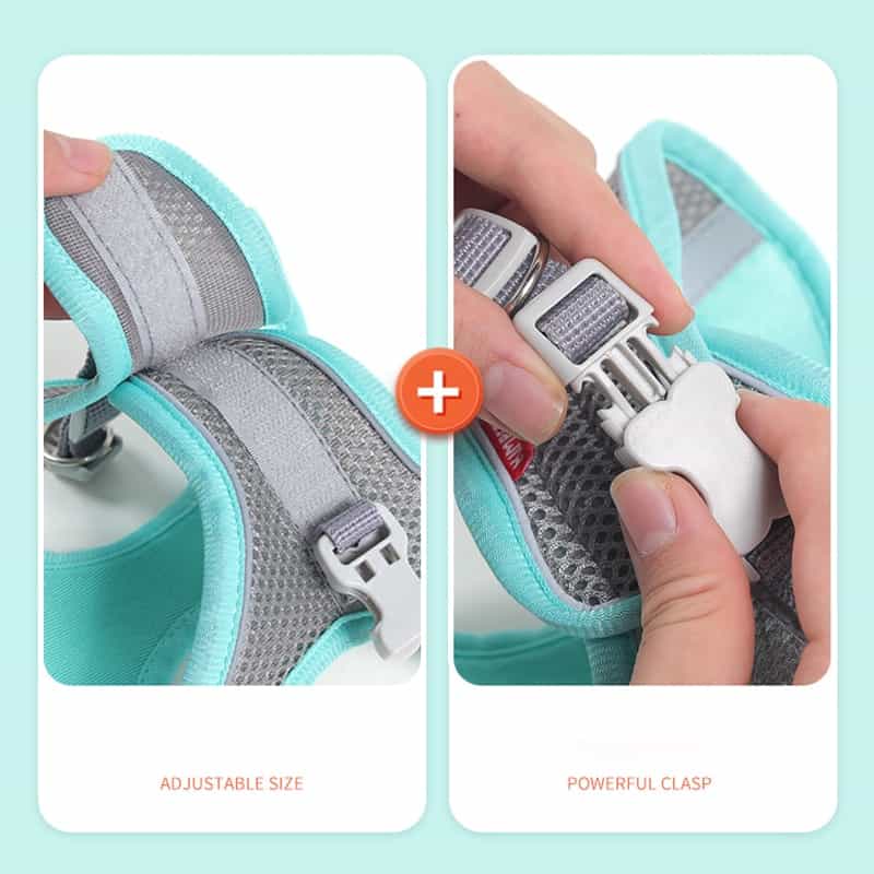 Breathable Mesh Yorkie Harness