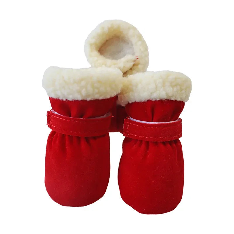 yorkies gram warm yorkie boots
