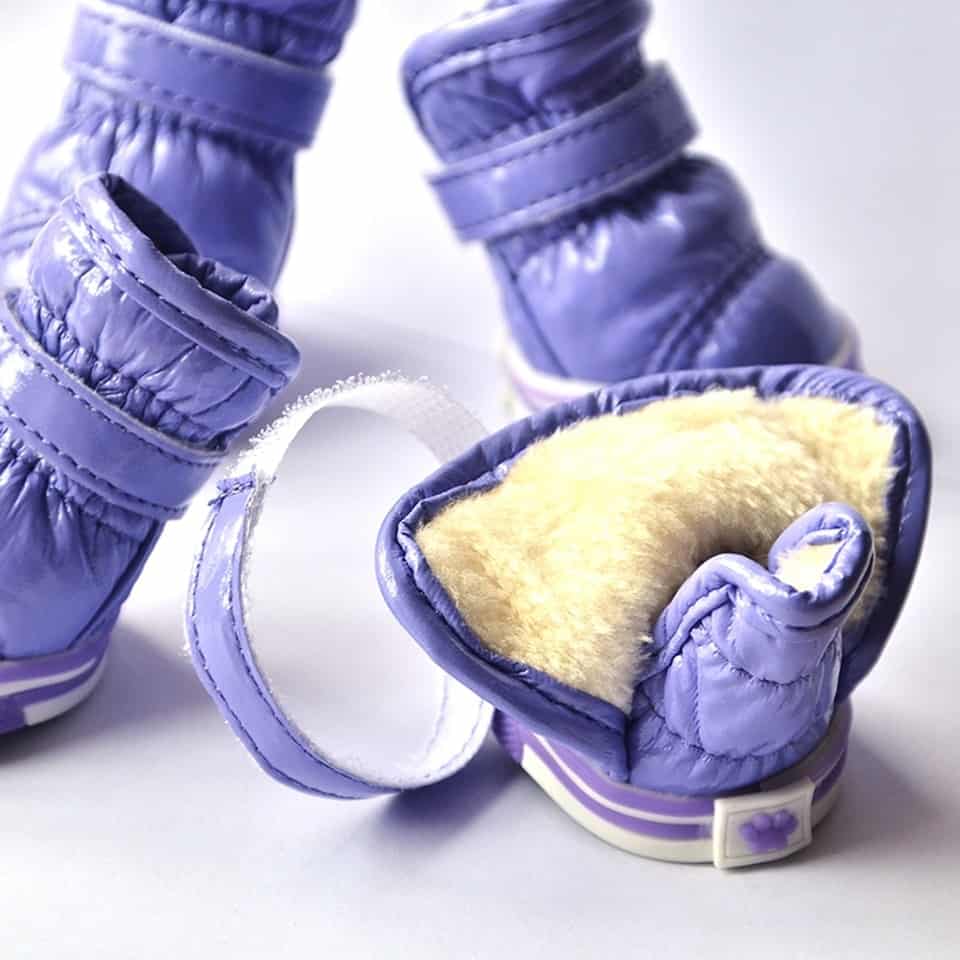 Waterproof Yorkie Boots
