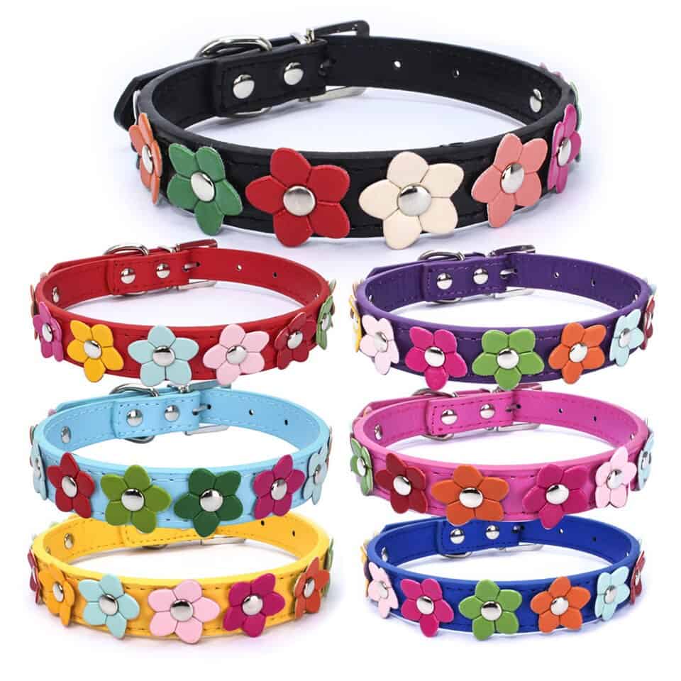 Flowers Yorkshire Terrier Collar