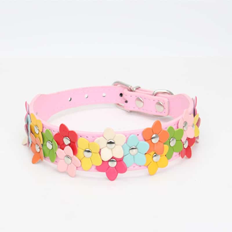 Flowers Yorkshire Terrier Collar
