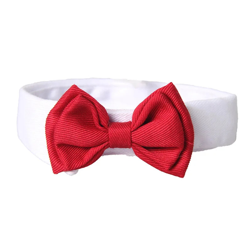 Elegant Yorkie Necktie
