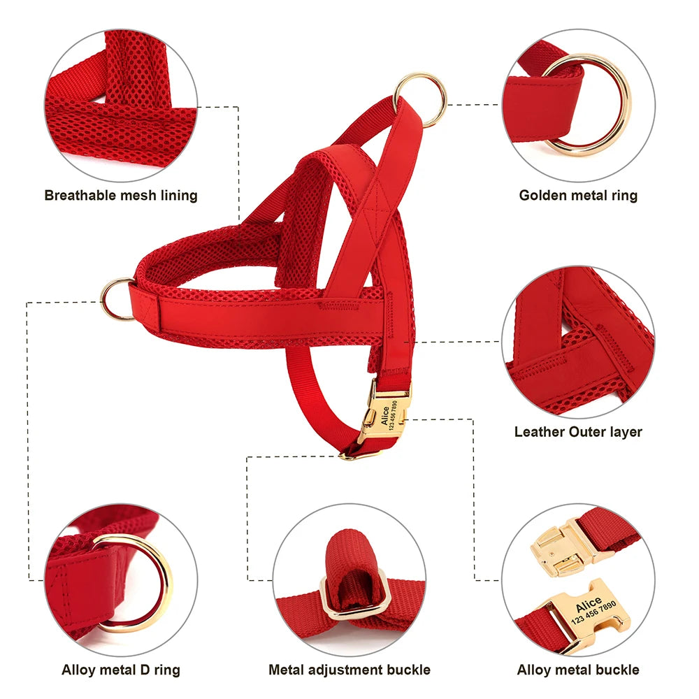 No-Pull Yorkie Harness & Collar